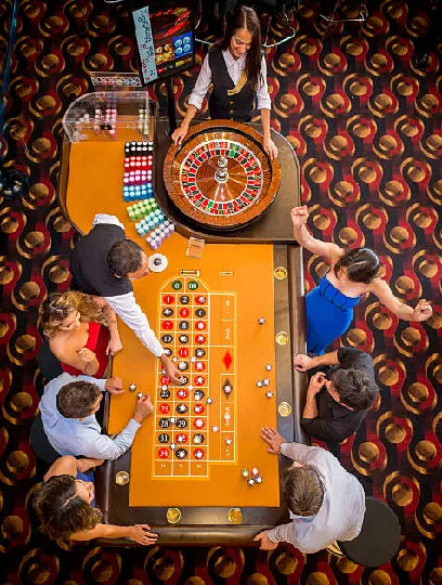 all win 77 free spins